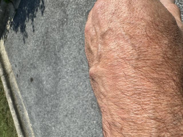 [Linked Image]