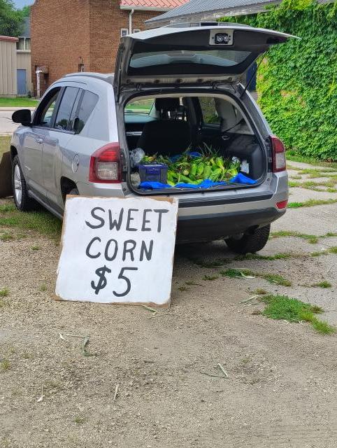 [Linked Image]