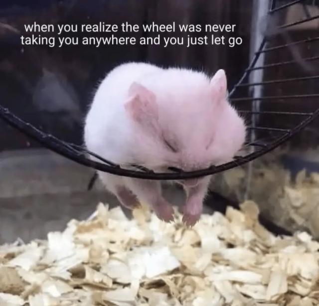 [Linked Image]