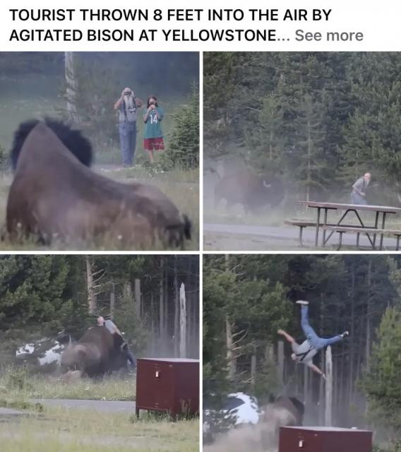 [Linked Image]