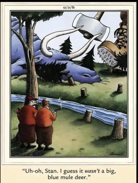 [Linked Image]