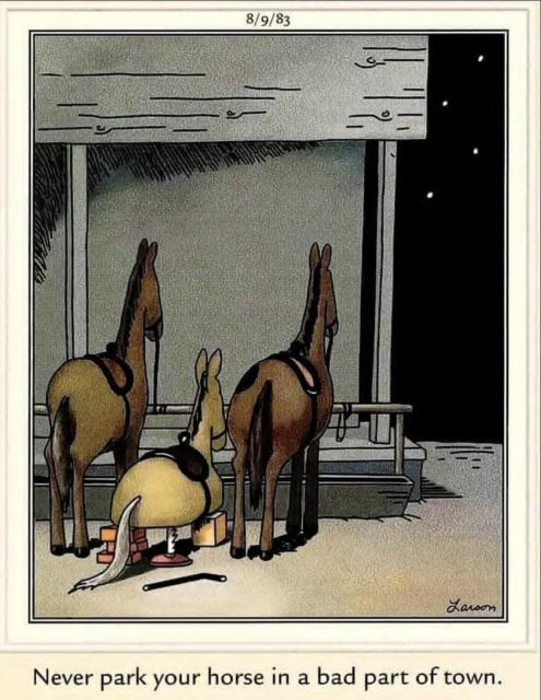 [Linked Image]