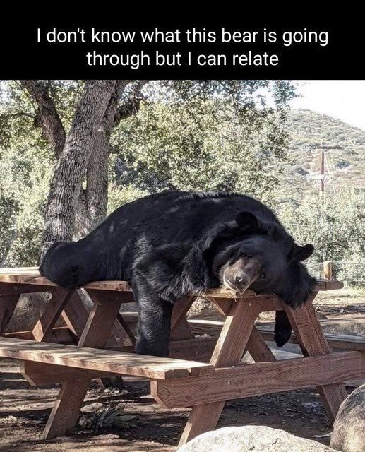 [Linked Image]