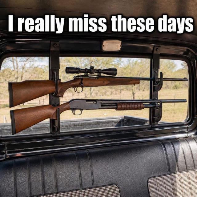 [Linked Image]