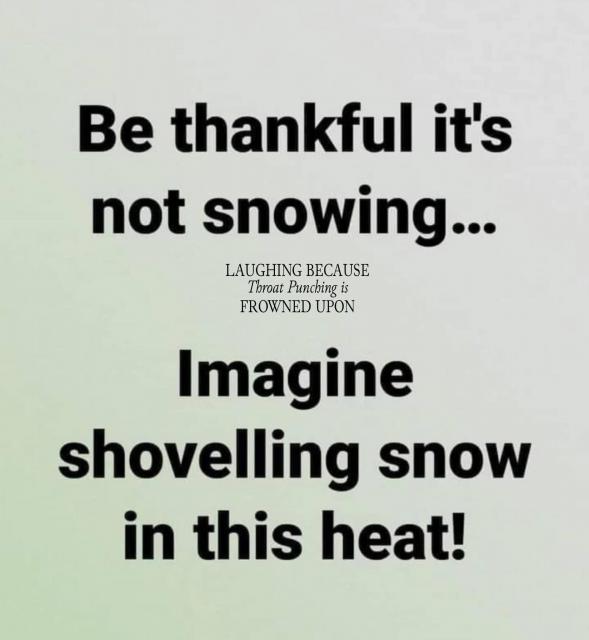 [Linked Image]