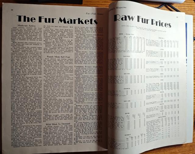 [Linked Image]