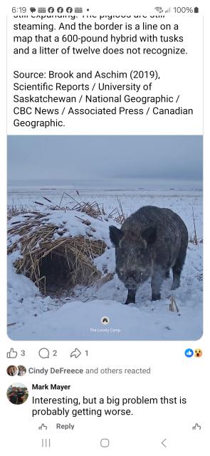 [Linked Image]
