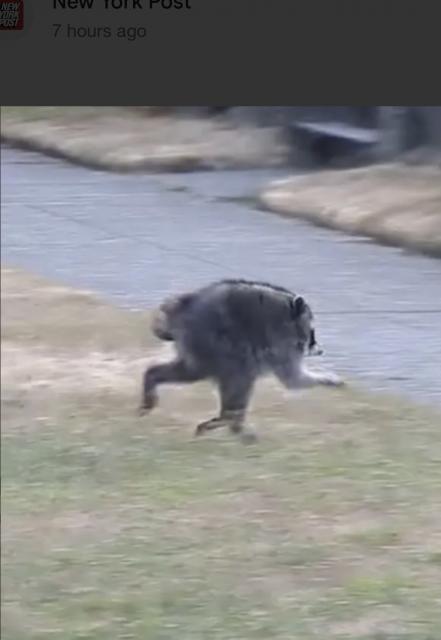 [Linked Image]