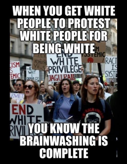 [Linked Image]