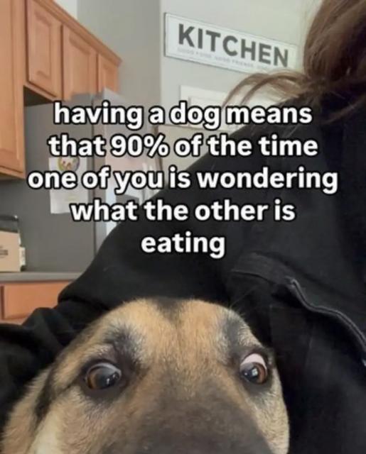 [Linked Image]