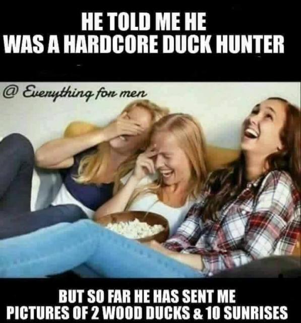 [Linked Image]