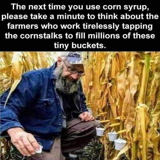 [Linked Image]