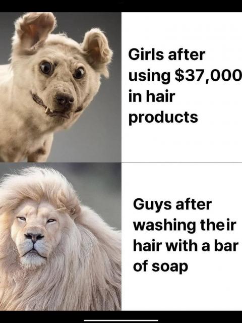[Linked Image]