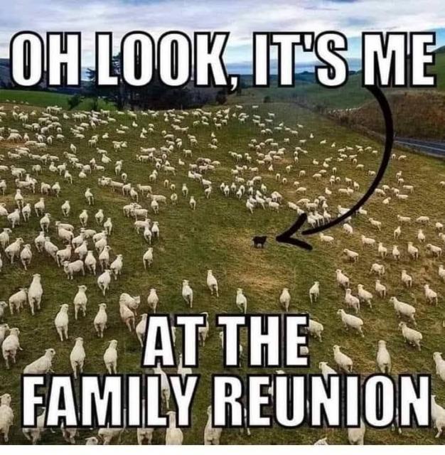 [Linked Image]