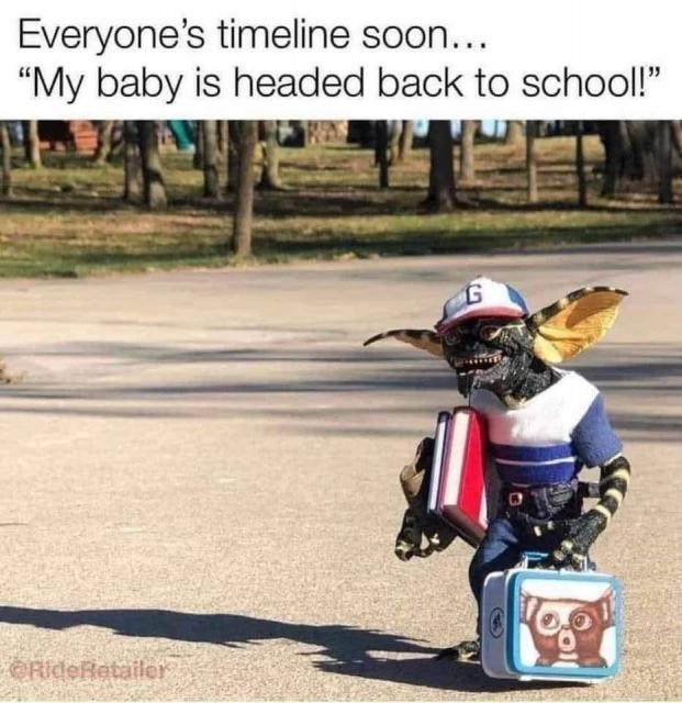 [Linked Image]