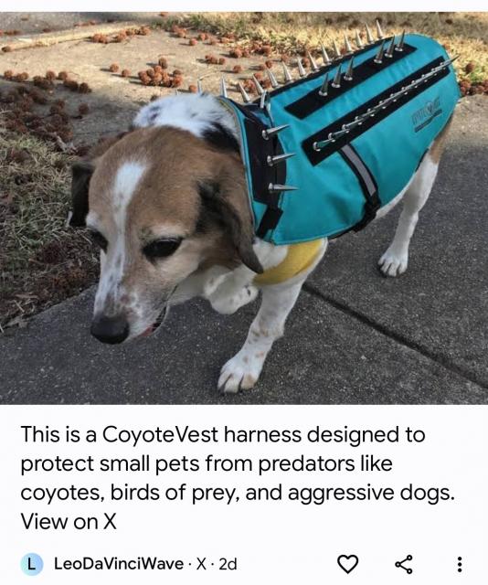 [Linked Image]