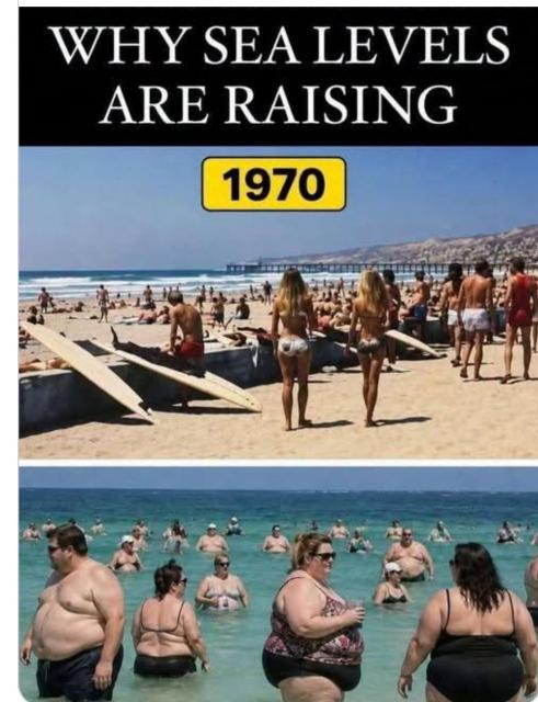 [Linked Image]
