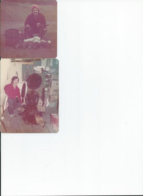 [Linked Image]