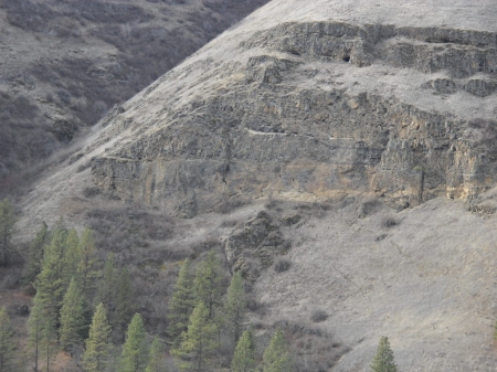 Click image to show larger version bobcat country.jpg