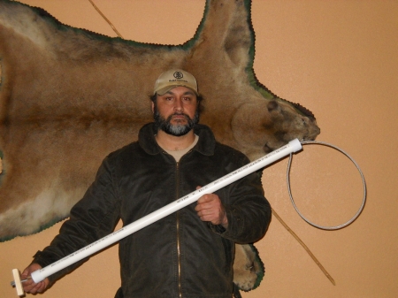 Click image to show larger version cat country 2 020.jpg