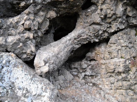 cat country 2 009.jpg