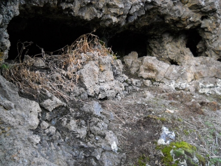 cat country 2 011.jpg