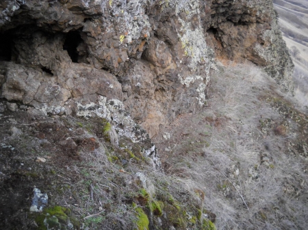 cat country 2 012.jpg