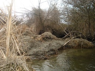 Click image to show larger version
Name: 005.JPG
Size: 67.07 KB
ID: 1111 005.JPG