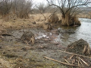 Click image to show larger version
Name: 014.JPG
Size: 70.7 KB
ID: 1112 014.JPG