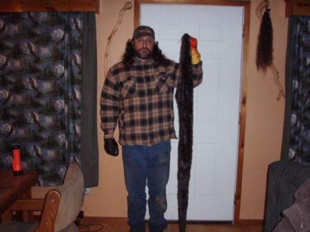 Click image to show larger version otter pelt.jpg