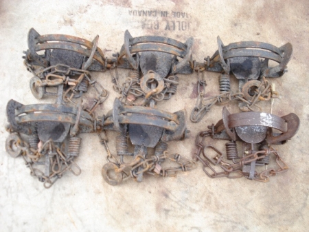 Click image to show larger version DSC01094.JPG