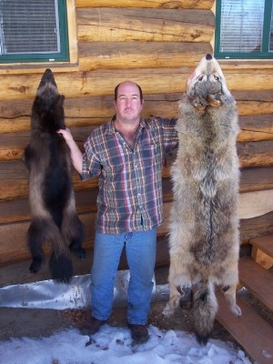 wolve and wolverine.jpg