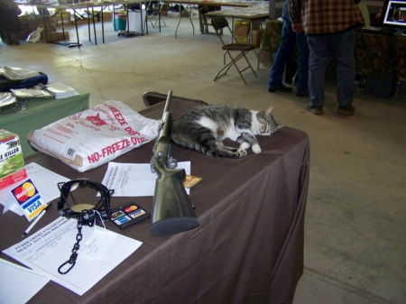 kitty trapper convention.jpg