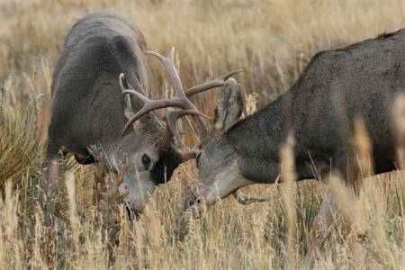 _MG_5968 - B (Small).jpg