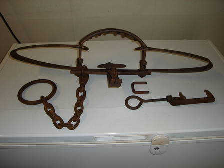 Bear Trap 003.JPG