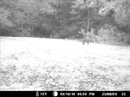 9-24-10 78 front bobcat 001.jpg