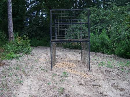 small_hog%20trap%20parkman%20002.jpg