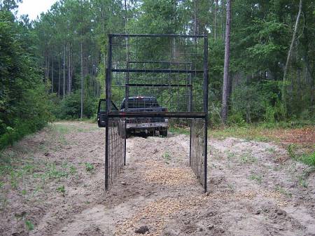 small_hog%20trap%20parkman%20003.jpg