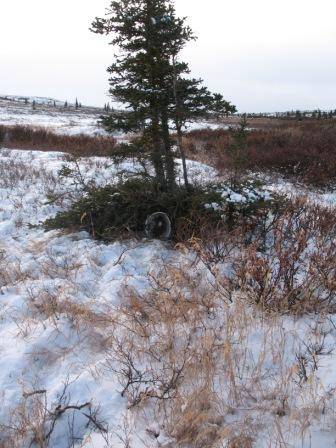 Copy of IMG_1962.JPG