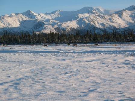 Copy of IMG_1943.JPG