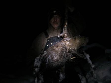 2010-11-15 Beaver.jpg