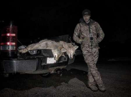 TOMMY HORN COYOTES.jpg