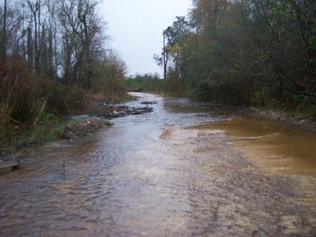 Beaver_road_Dammage.jpg