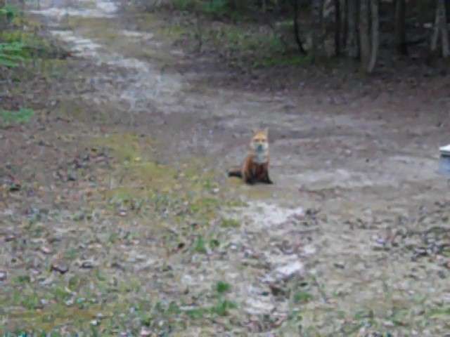 Name: VID00002_Moment(2)_Moment.jpg
Views: 269
Size: 29.6 KB
ID: 13330 VID00002_Moment(2)_Moment.jpg