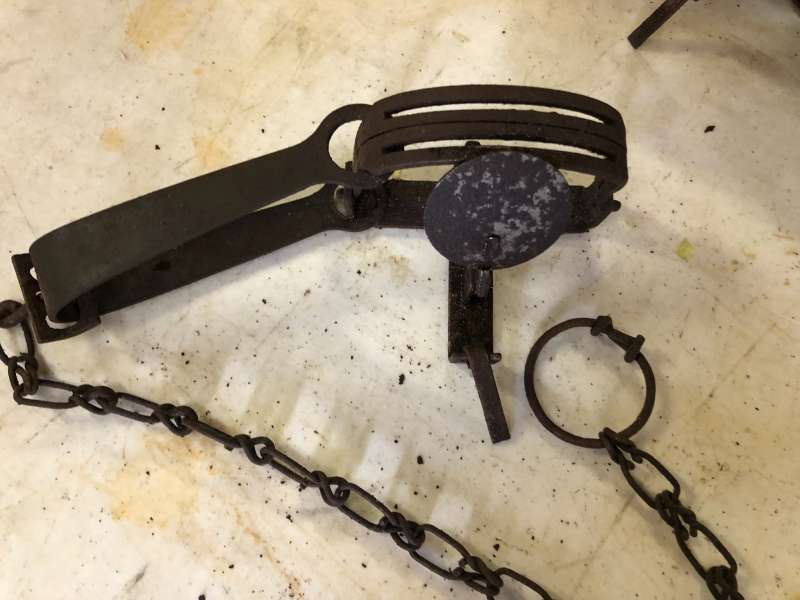 Name: IMG_1139.jpg
Views: 778
Size: 44.93 KB
ID: 21193 IMG_1139.jpg