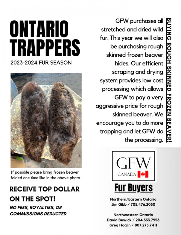 New to Beaver Trapping - Trapperman Forums