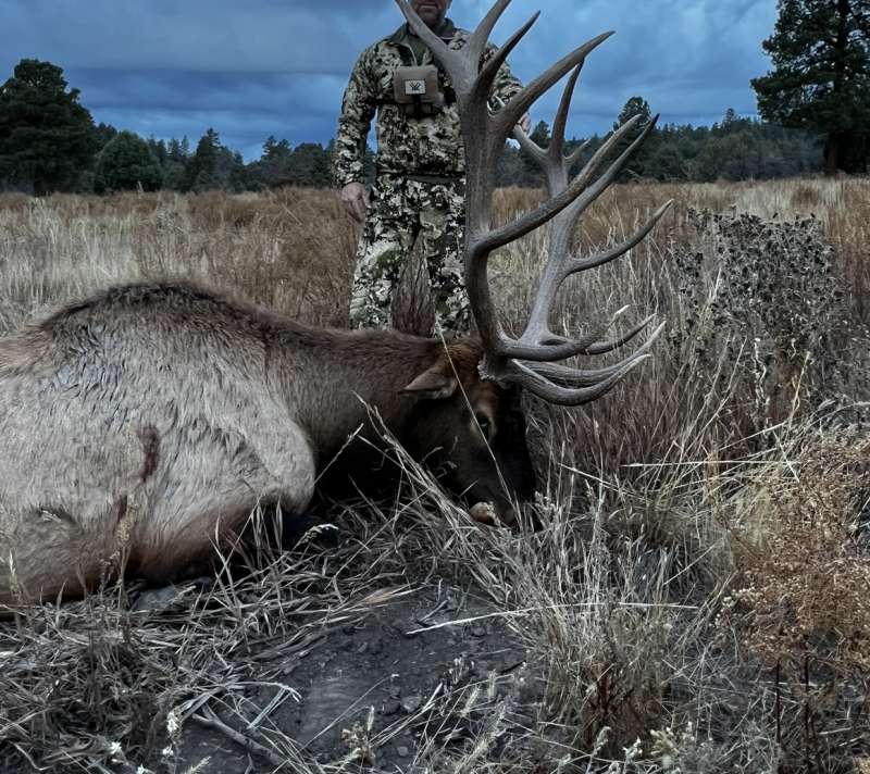 How Many Big Game This Year? - Trapperman Forums