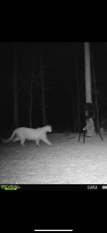 Name: image000000(1).png
Views: 498
Size: 99.32 KB
ID: 27674 image000000(1).png