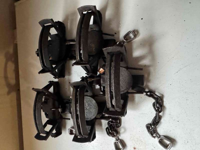 Name: IMG_3455.jpg
Views: 301
Size: 41.89 KB
ID: 27736 IMG_3455.jpg