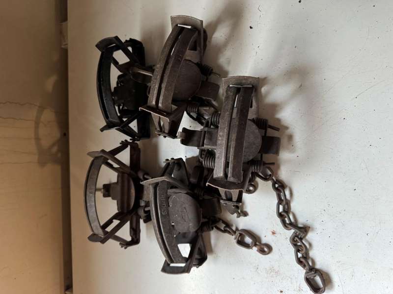 Name: IMG_3452.jpg
Views: 295
Size: 39.74 KB
ID: 27738 IMG_3452.jpg